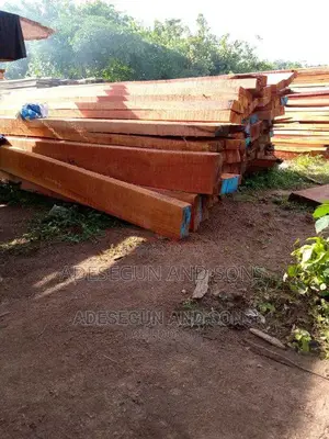 Mahogany Wood,In Different Sizes,1x12,