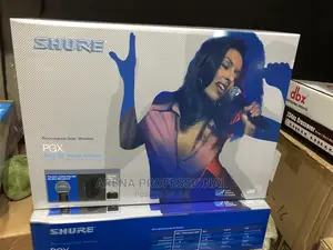 SHURE PGX242 Wireless Microphone
