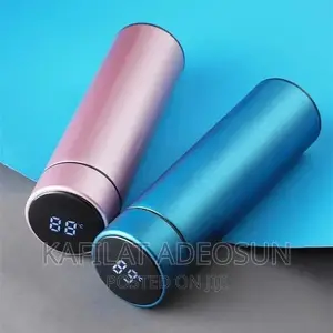 Led Temperature Flask Wholesales
