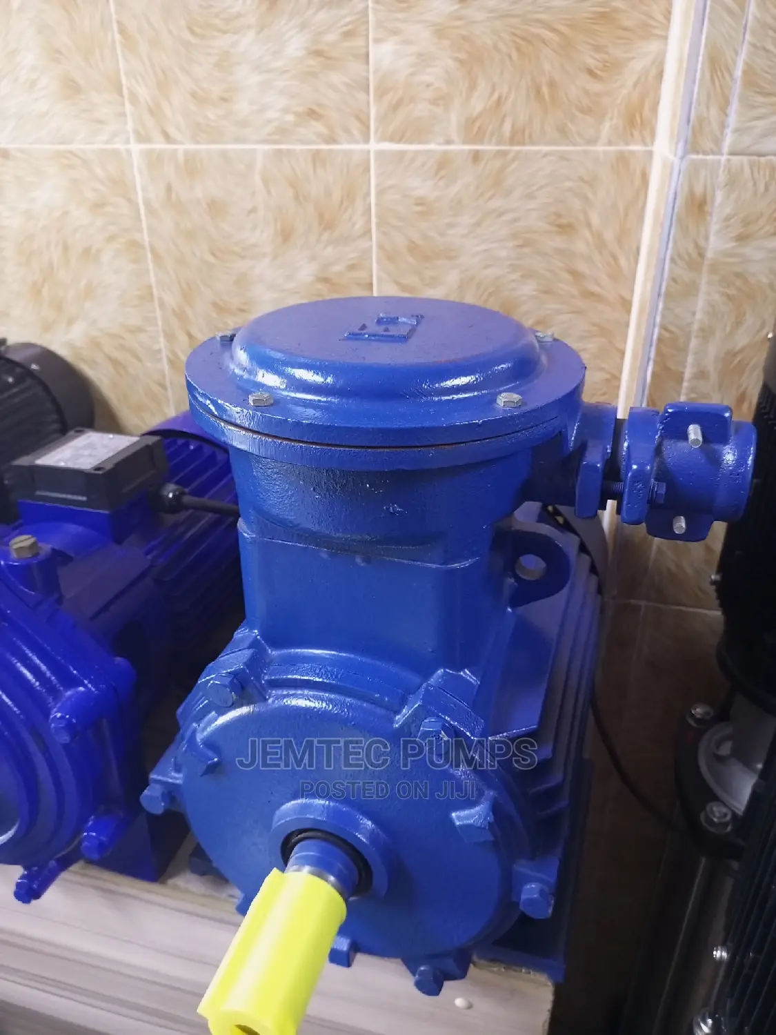 Ex Flame Proof Motor