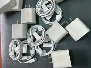 Apple Type C to C Charger