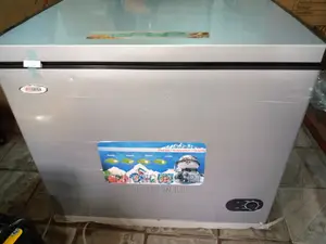 Startek Freezer 300 Liters