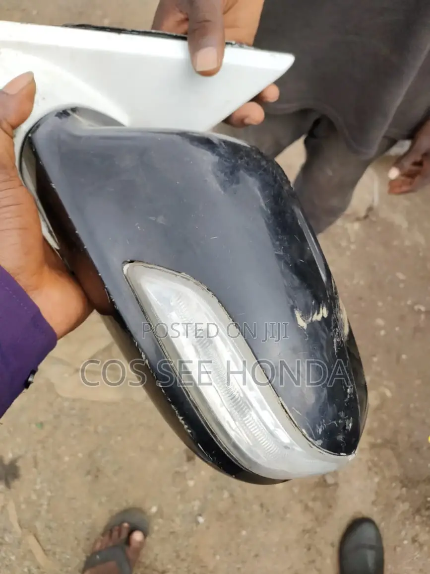 Side Mirror ZDX