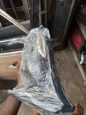 Side Mirror ZDX
