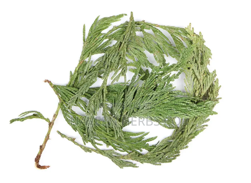 Cedar Leaf -100g