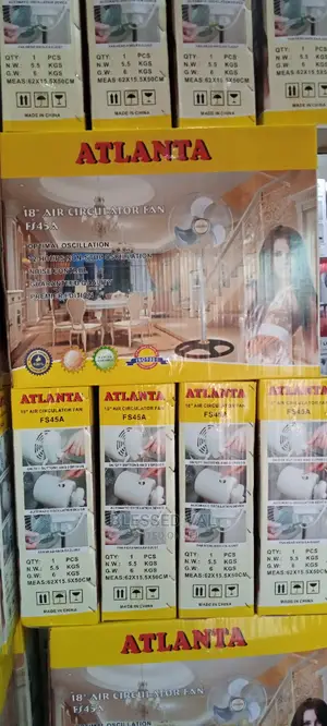 Atlanta 18 Inches Standing Fan
