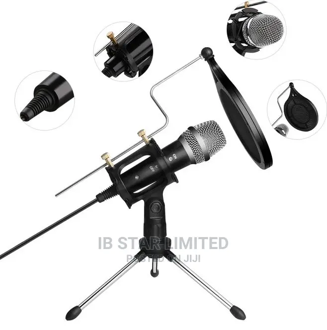 Mic Stand + Shock Mount Mic Holder + Pop Filter Kit