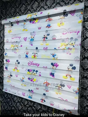 Quality Designed Day and Night Children Window Blinds.