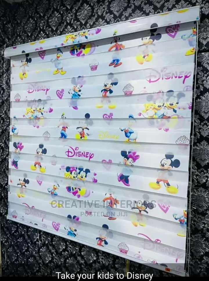 Quality Designed Day and Night Children Window Blinds.