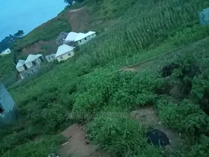 1000sqm of Land for Sale