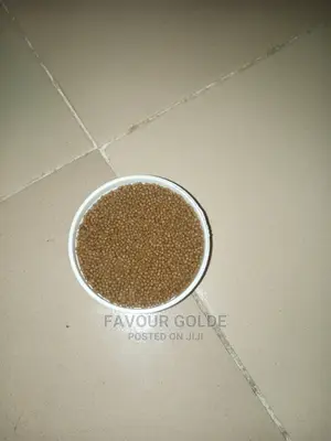 Turtle Food