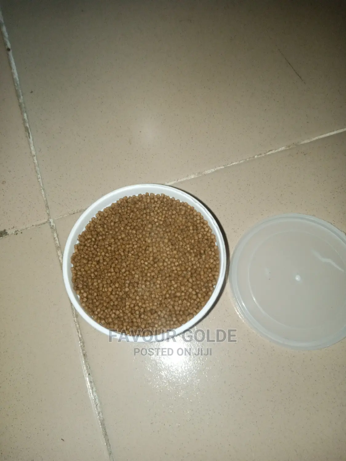 Turtle Food