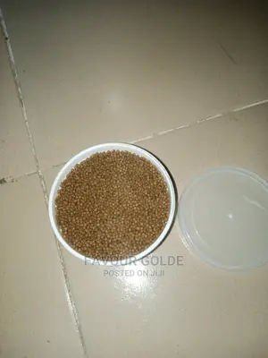Turtle Food