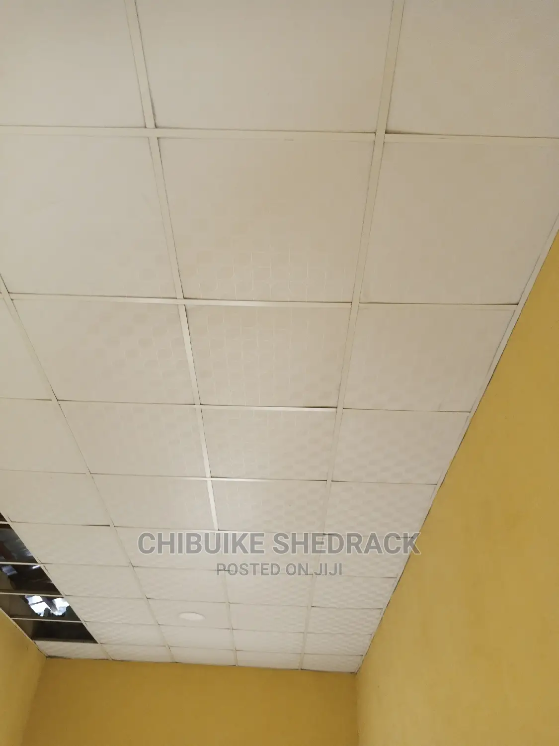 Pvc Ceiling Suspended Ceiling