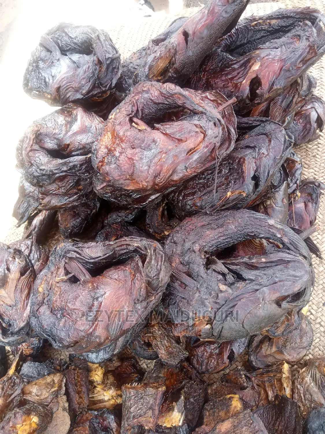 Maiduguri Catfish