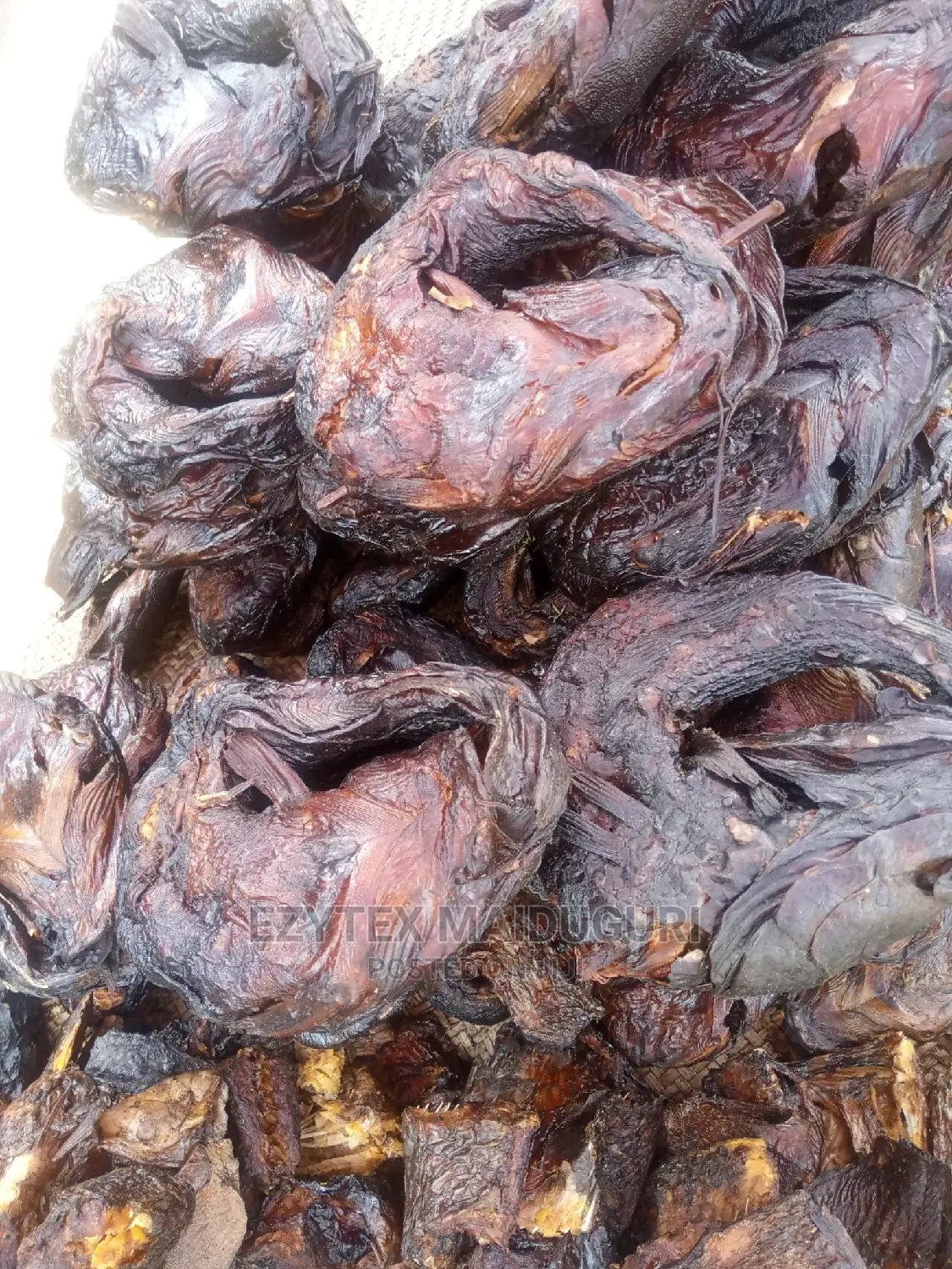 Maiduguri Catfish