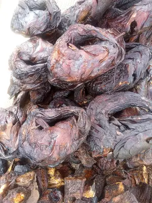Maiduguri Catfish