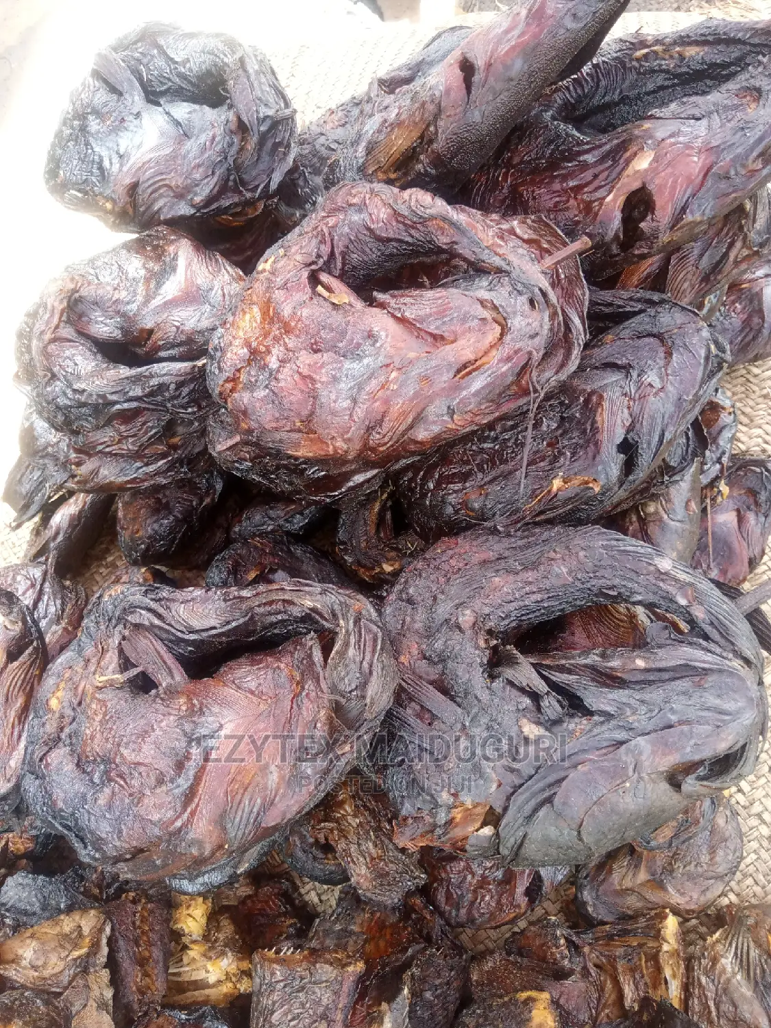 Maiduguri Catfish