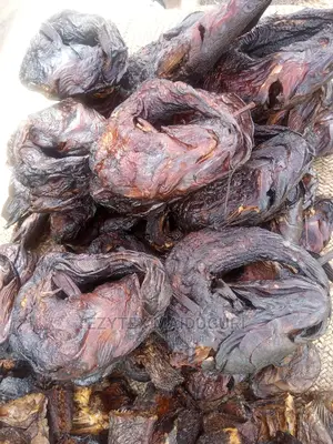 Maiduguri Catfish