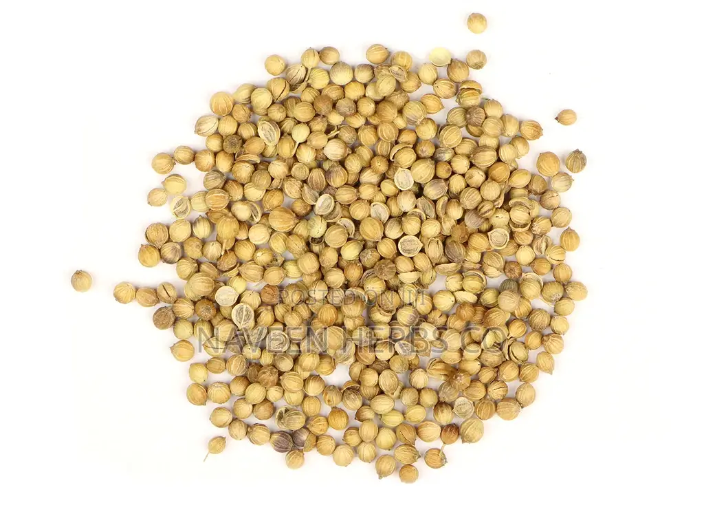 Coriander Seeds - 100g