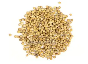 Coriander Seeds - 100g