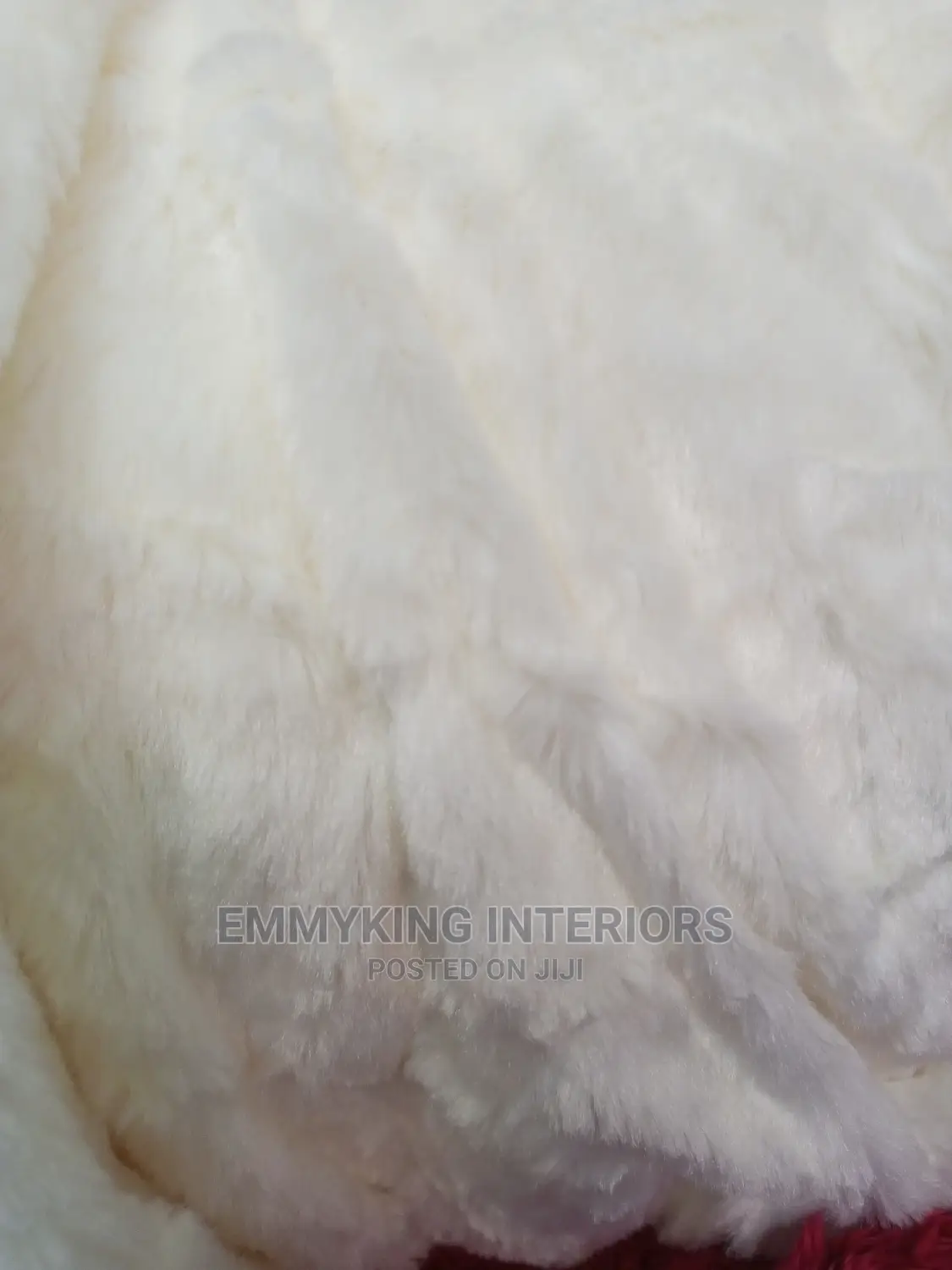 White Four Rug