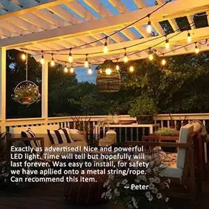 LED String Lights
