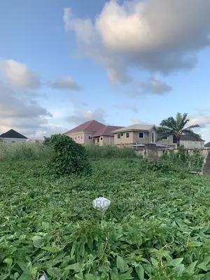 Cheapest 6 Plots of Land With C of O in Badore Ajah