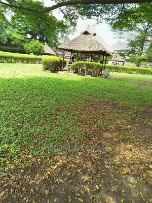 Landscaping Services.