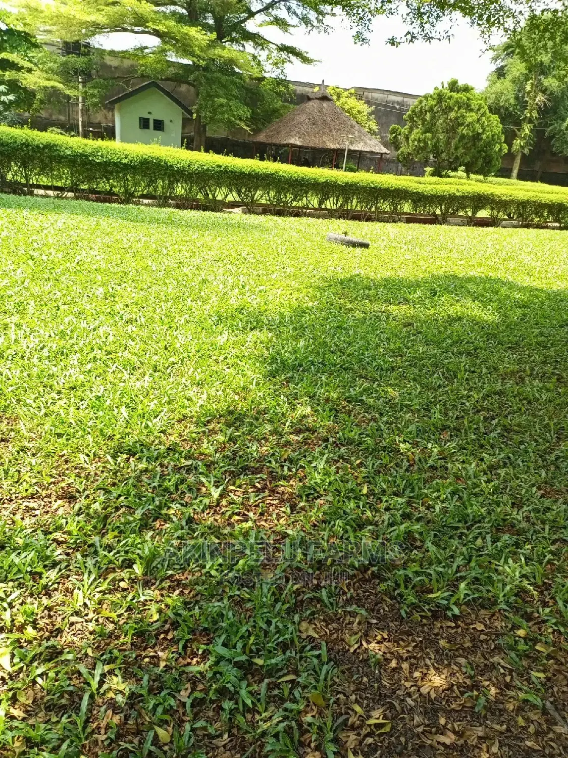 Landscaping Services.