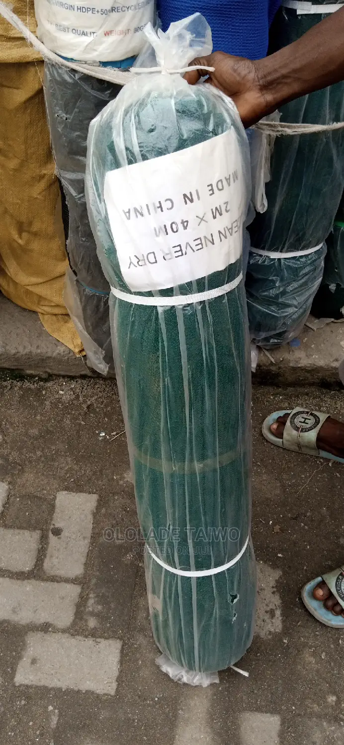 Scaffolding Net