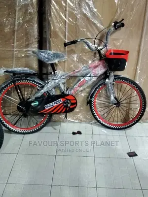 Size 20 Bicycle Available