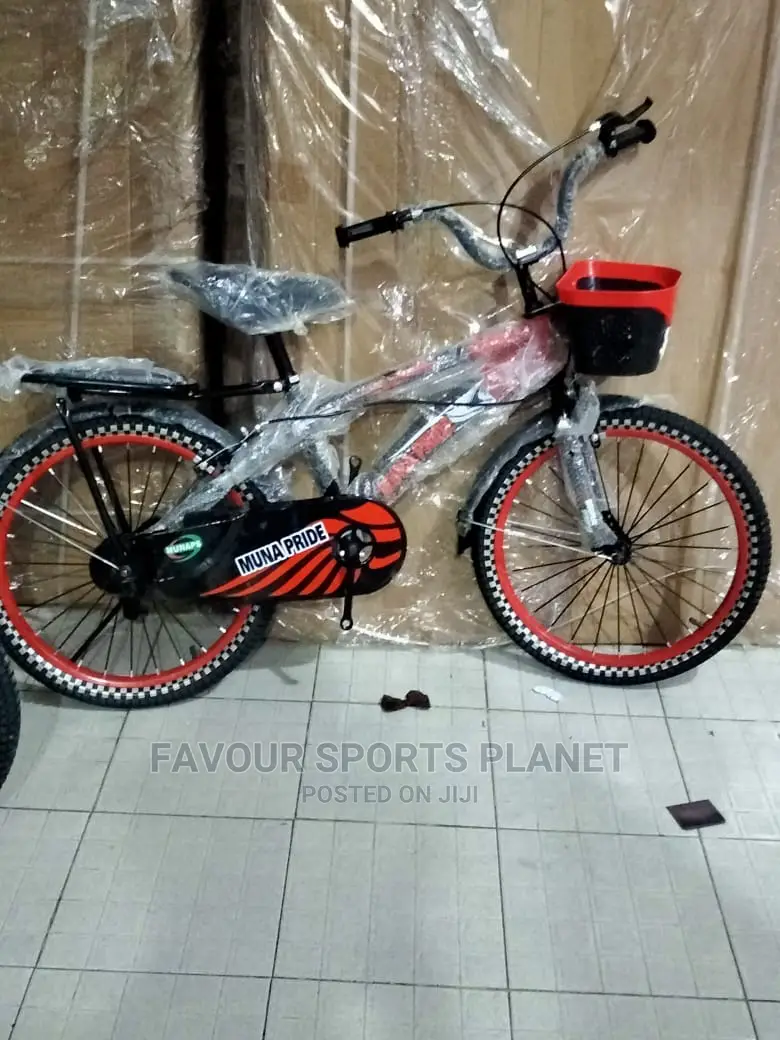Size 20 Bicycle Available