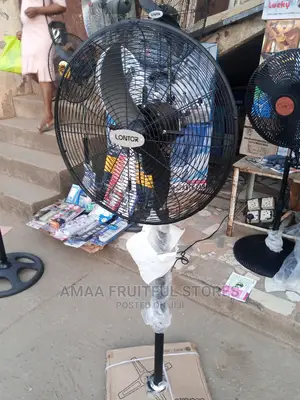 Lontor Industry Standing Fan