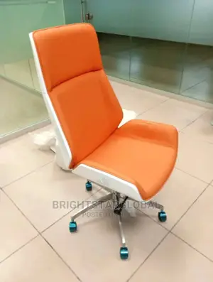Executive Office Reclining Chair