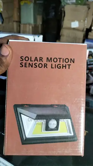 Solar Motion Sensor Light