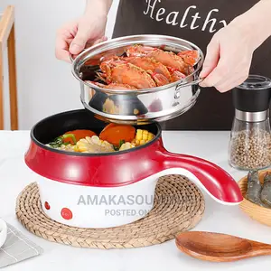 2 in 1 Non-Stick Stainless Steel Mini Electric Pot and Pan