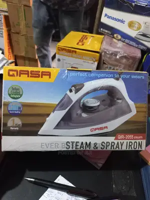 Qasa Steam Iron