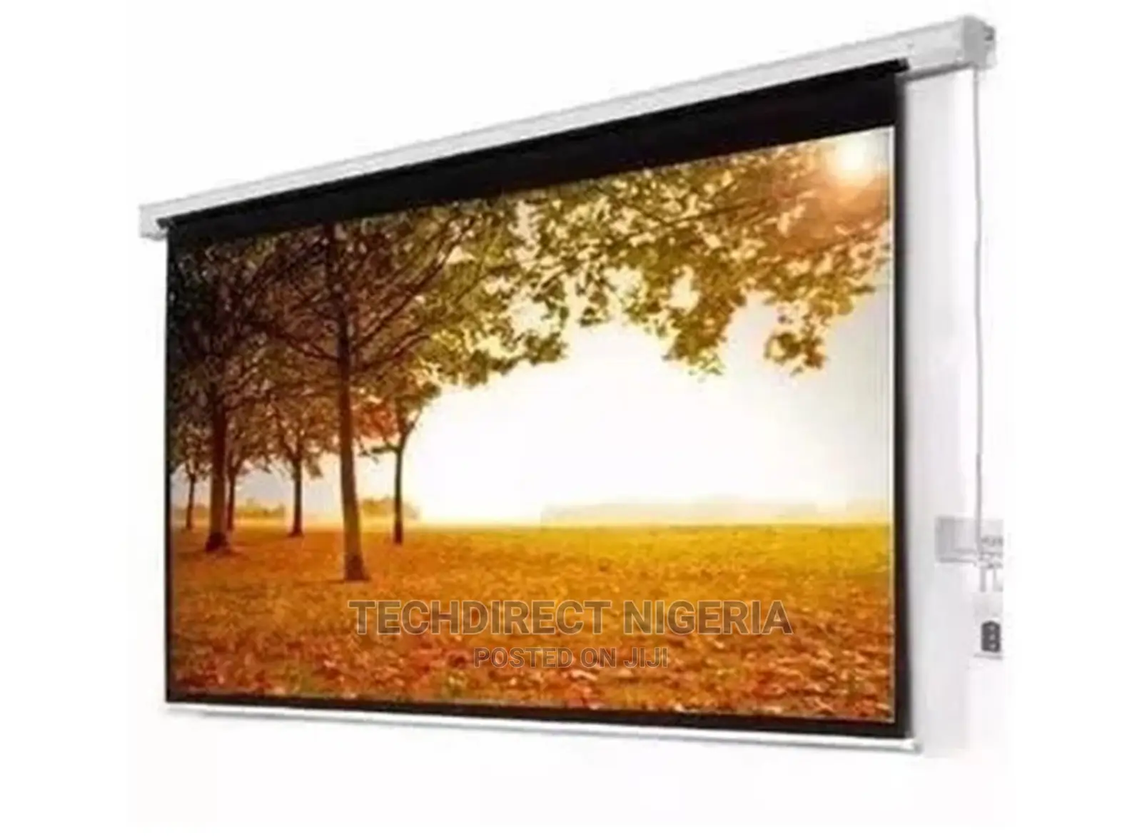 Smaat 120 X 120 Inch Manual Pull Down Projection Screen