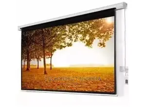 Smaat 120 X 120 Inch Manual Pull Down Projection Screen