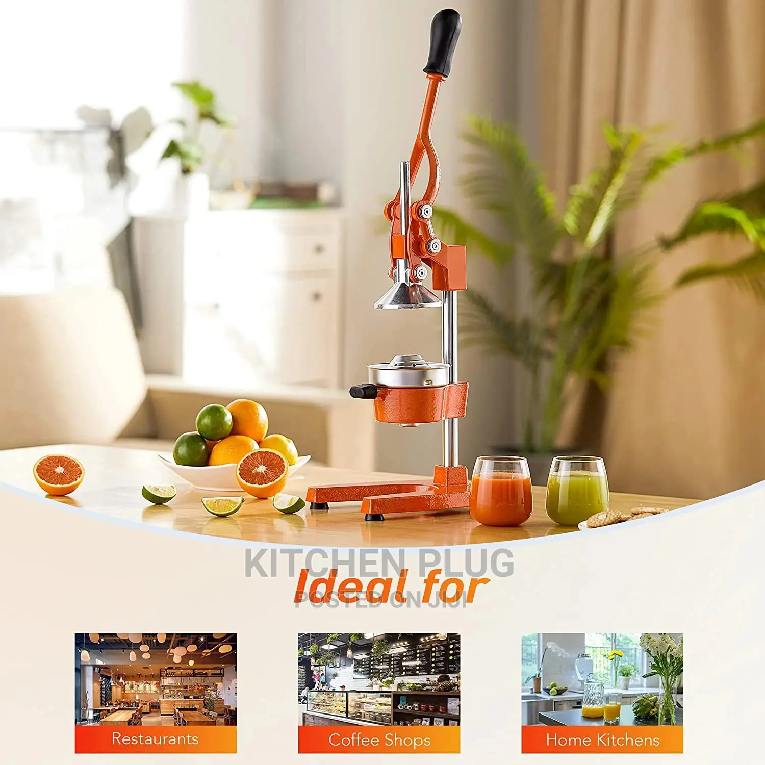 Hand Press Manual Juicer.