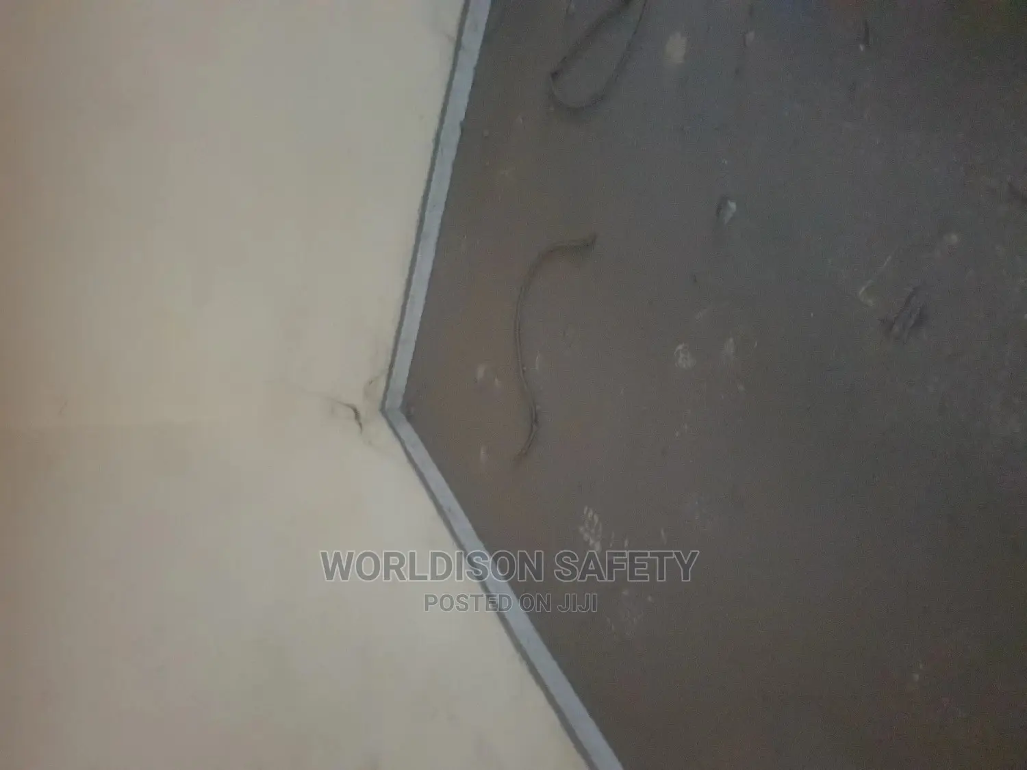 Cleaning Services in Delta