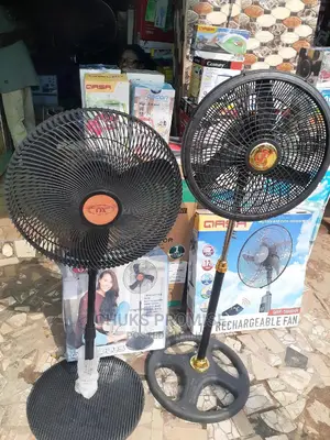 Standing Fan