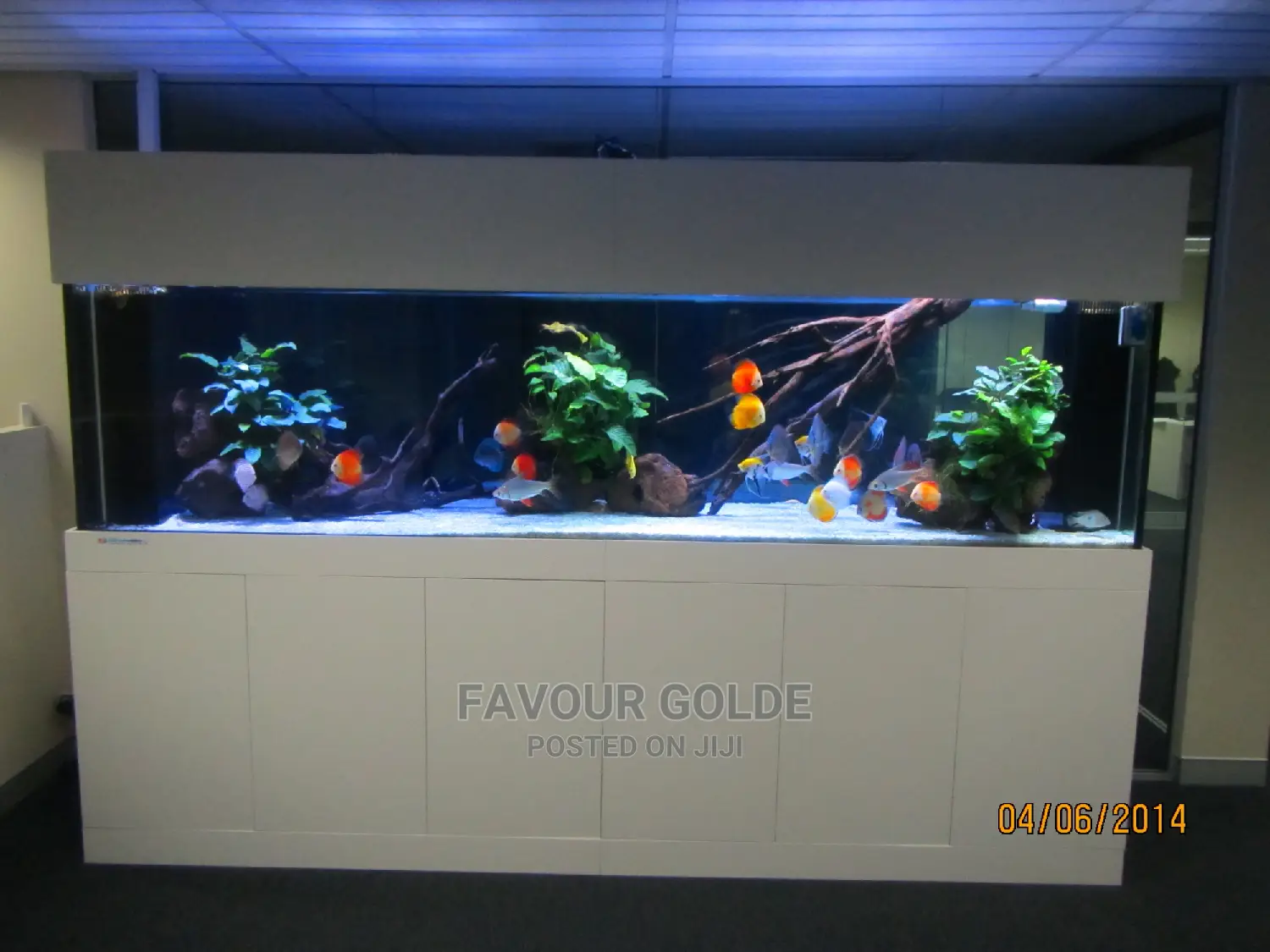Wooden Fish Aquarium