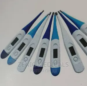 Digtial Thermometer