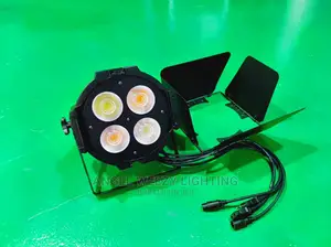 200w Parcan Light