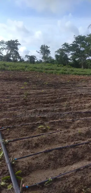 Borehole Services for Farm