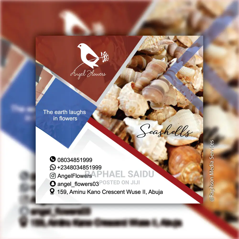 Graphic Design and Printing Services