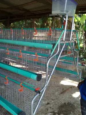 Battery Cage for Layers (120birds) With Full Accessories