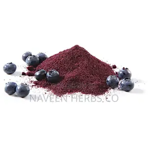 Blueberry Powder - 100g